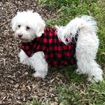 Pam Sheldon - @psheldonpprs - Instagram