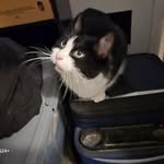 Pam Sheldon - @pamsh5585 - Instagram