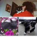 Pam Sheldon - @sheldonpam - Instagram