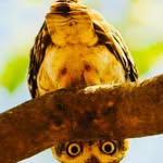Pam Shepard - @reme.mber2627 - Instagram