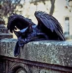 Pam Shepard - Facebook