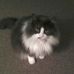 Pam Shoemaker - Facebook