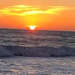 Pam Shuler - @pshuler33 - Instagram