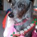 Pam Silver - Facebook