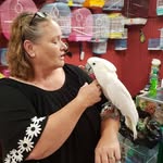 Pam Simcox Linnen - @pamlinnen - Instagram