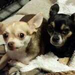 Pam Sisk - @pjsisk - Instagram