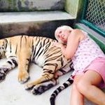 Pam Small - @small7022 - Instagram