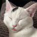Pam Smelser - Facebook