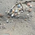 Pam Smeltzer - @pamsmeltzer - Instagram