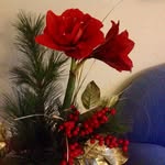 Pam Lachmund - @pam.smiley - Instagram