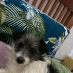 Pam Smiley - @clogrpam - Instagram