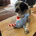 Pam Smithson - Facebook