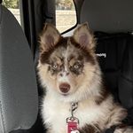 Pam Smithson - @pamela_smithson - Instagram