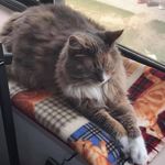 Pam Snider - @pamelaasnider - Instagram