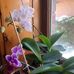 Pam Snodgrass - Facebook