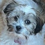 Pamela Snodgrass-Belt - @beltpam - Instagram