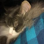Pam Beadle Soderstrom - @pamsod11 - Instagram