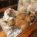 Pam Solomon - Facebook