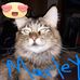 Pam Sorrells - Facebook