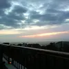 sorrellspams - @sorrellspam - TikTok