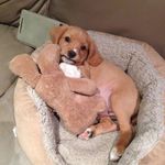 Pam Spackman - @spackmanpam - Instagram
