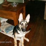 Pam Osborne Spain - @pms12962 - Instagram