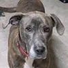 pam spaulding - @pam.spaulding - TikTok