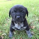 Pam Spears - @spears_pam - Instagram