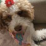 Pam Barnes Spellman - Facebook