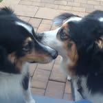 Pam Spellman - @pamtspellman - Instagram