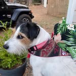 Pam Spellman - @spellmp - Instagram