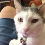Pamela M.Spohn - @pamelam.spohn - Instagram