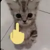 pam - @pamcookspray - TikTok