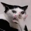 Pamspray555 - @pamspray555 - TikTok