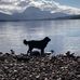 Pam Spruce - Facebook