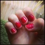 Pam Squire - @nerstoad - Instagram