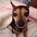 Pam Stacey - Facebook