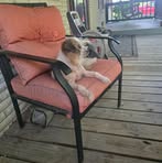 Pam Stanley - Facebook
