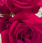 Pam Stanley - Facebook