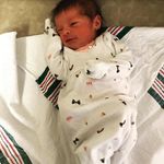 Pam Stark - @pamstark1 - Instagram