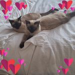 Pamela Holland - @pam._.stark - Instagram