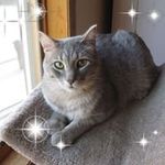 Pam Starkey - @starkey6483 - Instagram