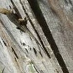 Pam Starkey - @starkey_pam - Instagram