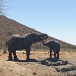 Pam Starkey - @starkey.pam - Instagram