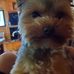 Pam Starnes - Facebook