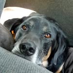 Pamela Riley Starnes - @pamela_riley_starnes - Instagram