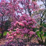 Pamela Starratt - @pamela.starratt - Instagram