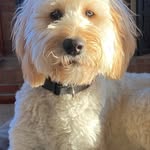 Pam Staten Gerardi - @pamgerardi - Instagram
