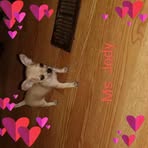Pam Stauble - Facebook