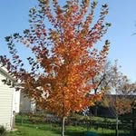 Pam Steen - @psteen8 - Instagram